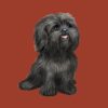 flat750x075f pad750x750f8f8f8 2 - Shih Tzu Gifts