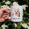 il 1000xN.2556891435 ocjh - Shih Tzu Gifts