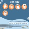 il 1000xN.4664194036 pgxy - Shih Tzu Gifts