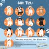 il 1000xN.4712437219 1u8p - Shih Tzu Gifts