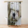 urshower curtain closedsquare1000x1000.1 34 - Shih Tzu Gifts