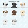 il 1000xN.2894113802 lin6 - Shih Tzu Gifts