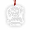 il 1000xN.4289855077 abjy - Shih Tzu Gifts