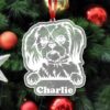 il 1000xN.4289855109 omh5 - Shih Tzu Gifts