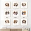 il 1000xN.5539104238 dncg - Shih Tzu Gifts